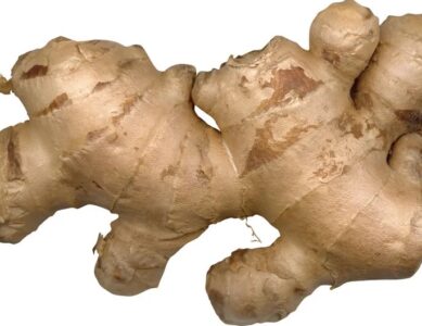 Ginger – Natural Help for Digestion, Nausea, More