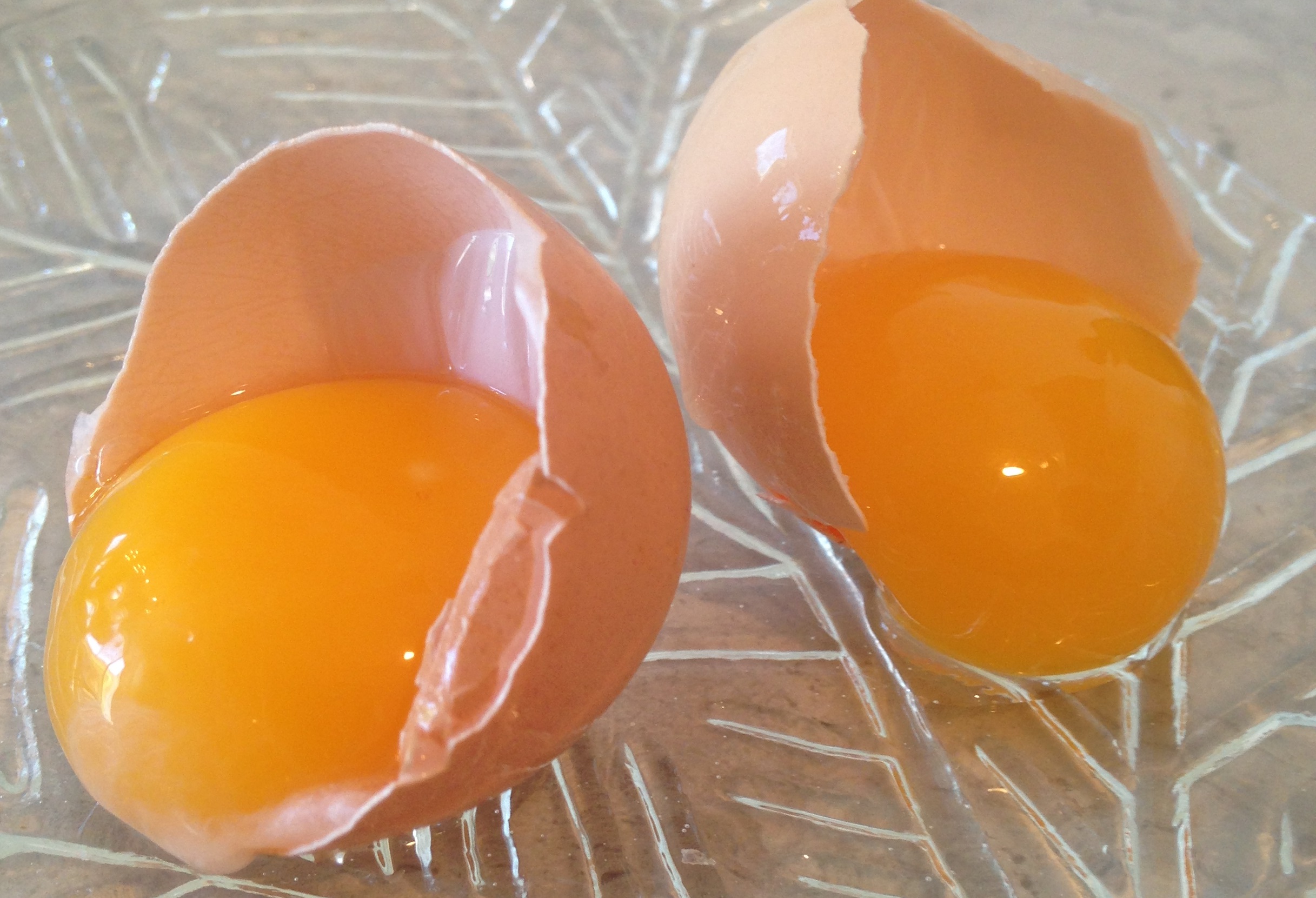 Making Eggs? You Can Make a Calcium Supplement