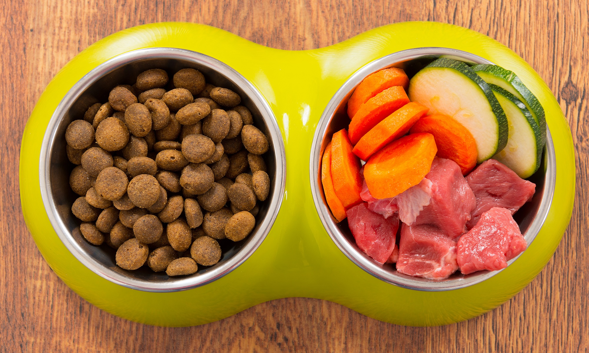 From Vets – Replace at Least Some Kibble With Fresh Foods