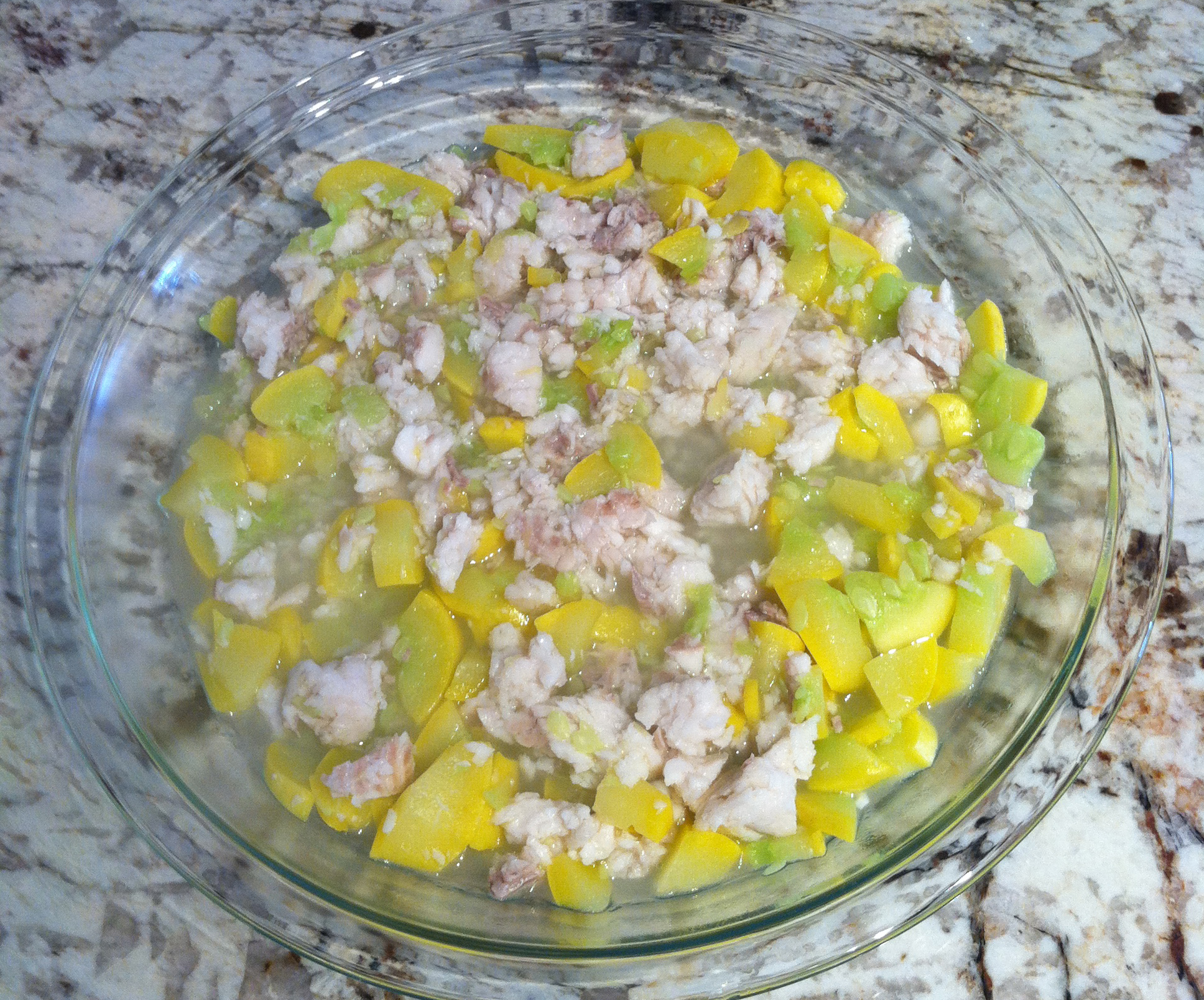 Fish for Dogs – Healthy Homemade Dog Food Idea