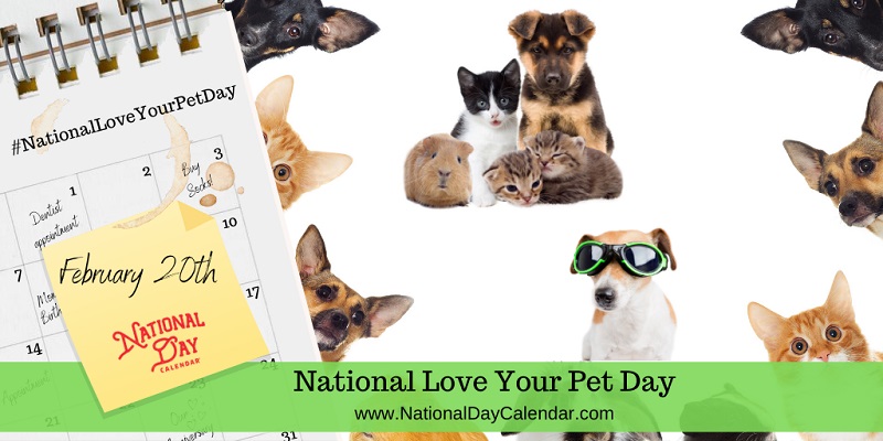 National Love Your Pet Day – 10% Discount off Session With Sarah