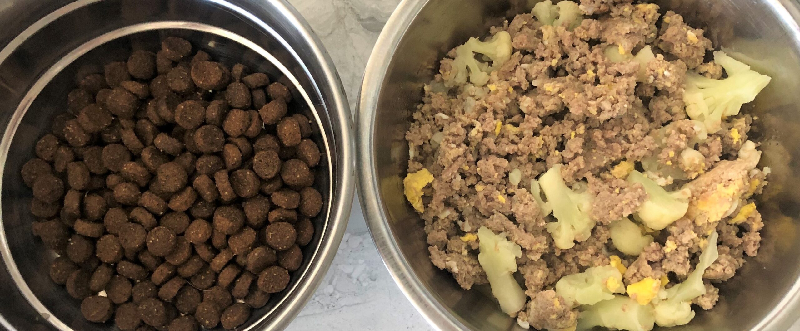History of Trouble – Commercial Dog Food Risks
