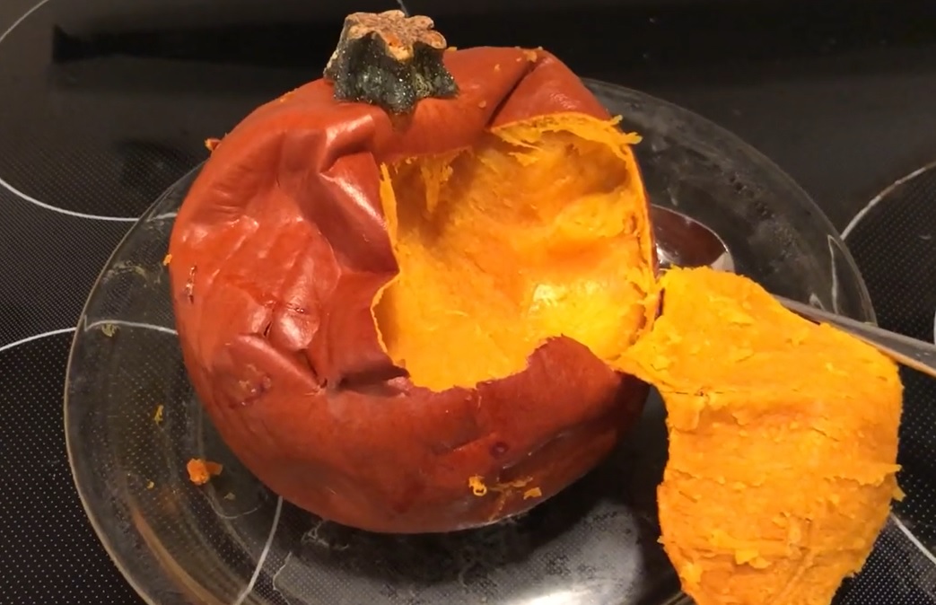 Pumpkin – Homemade Dog Food Idea