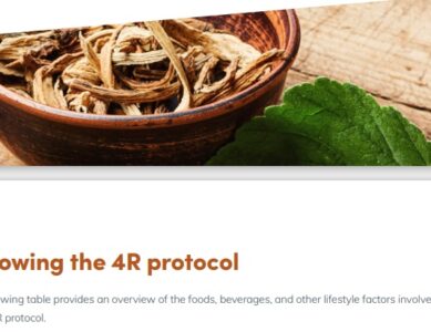 4R Gut Healing Protocol for Dogs