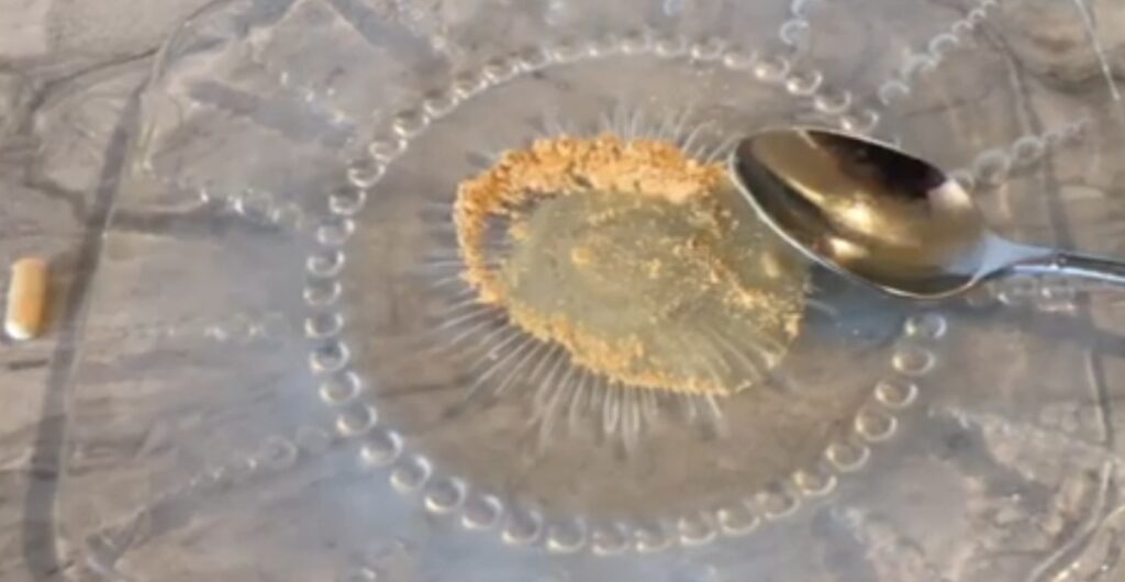 milk thistle for dogs