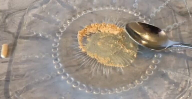 Milk Thistle for Liver Support, Skin Health, More