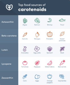 carotenoids for dogs