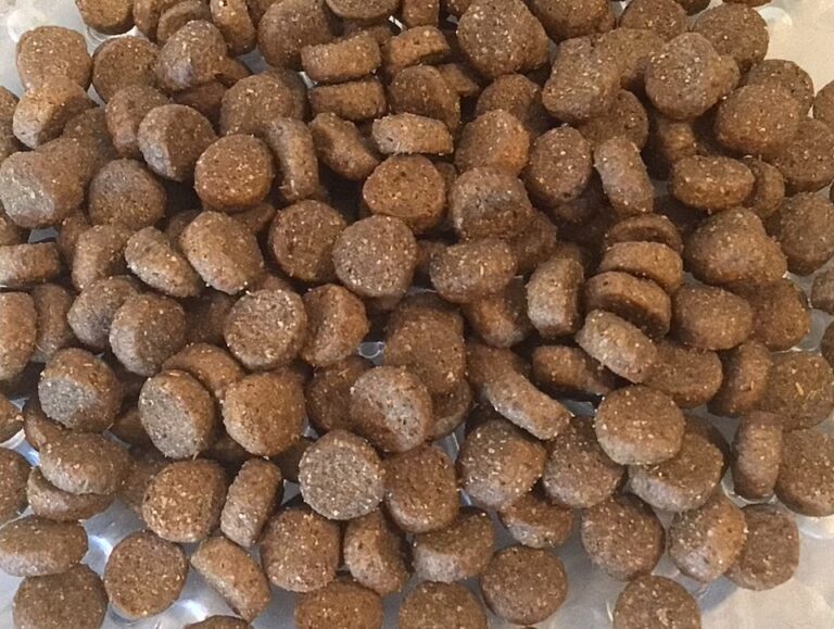 What’s In Prescription Pet Food?