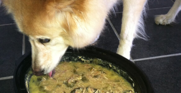 Grocery Shopping Tips for Homemade Dog Food