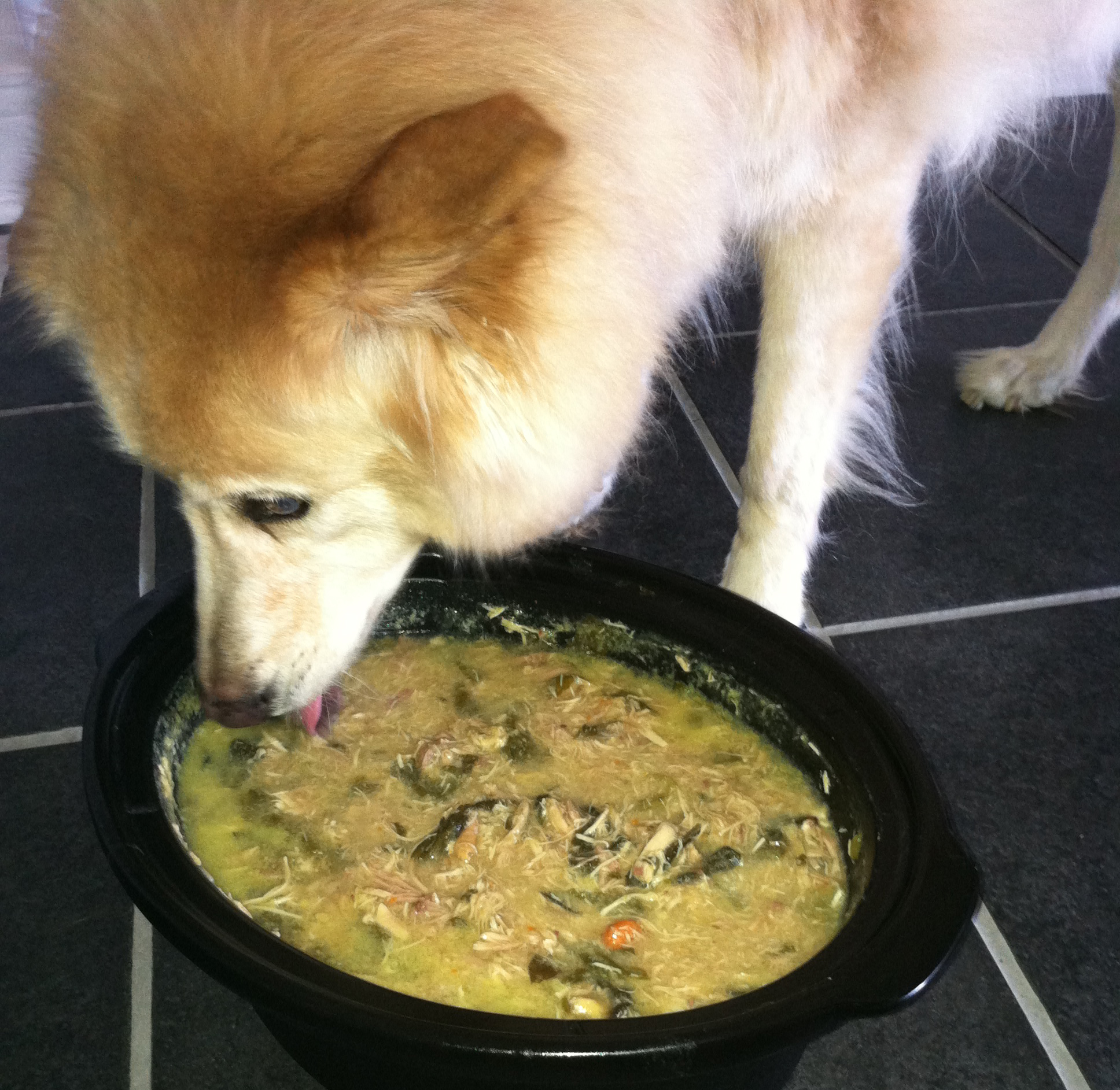 Grocery Shopping Tips for Homemade Dog Food