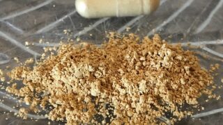 supplements for dogs