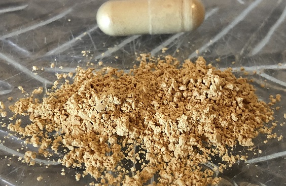 Should You Add Vitamins and Minerals to Your Dog’s Diet?