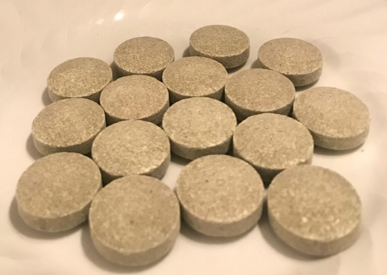 Should Your Dog Take Supplements?