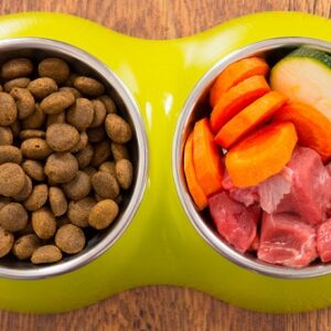 dog nutrition