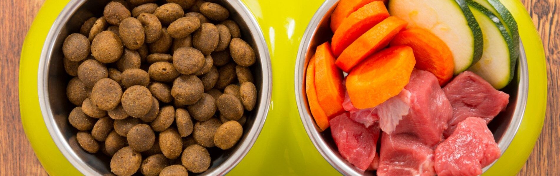 dog nutrition