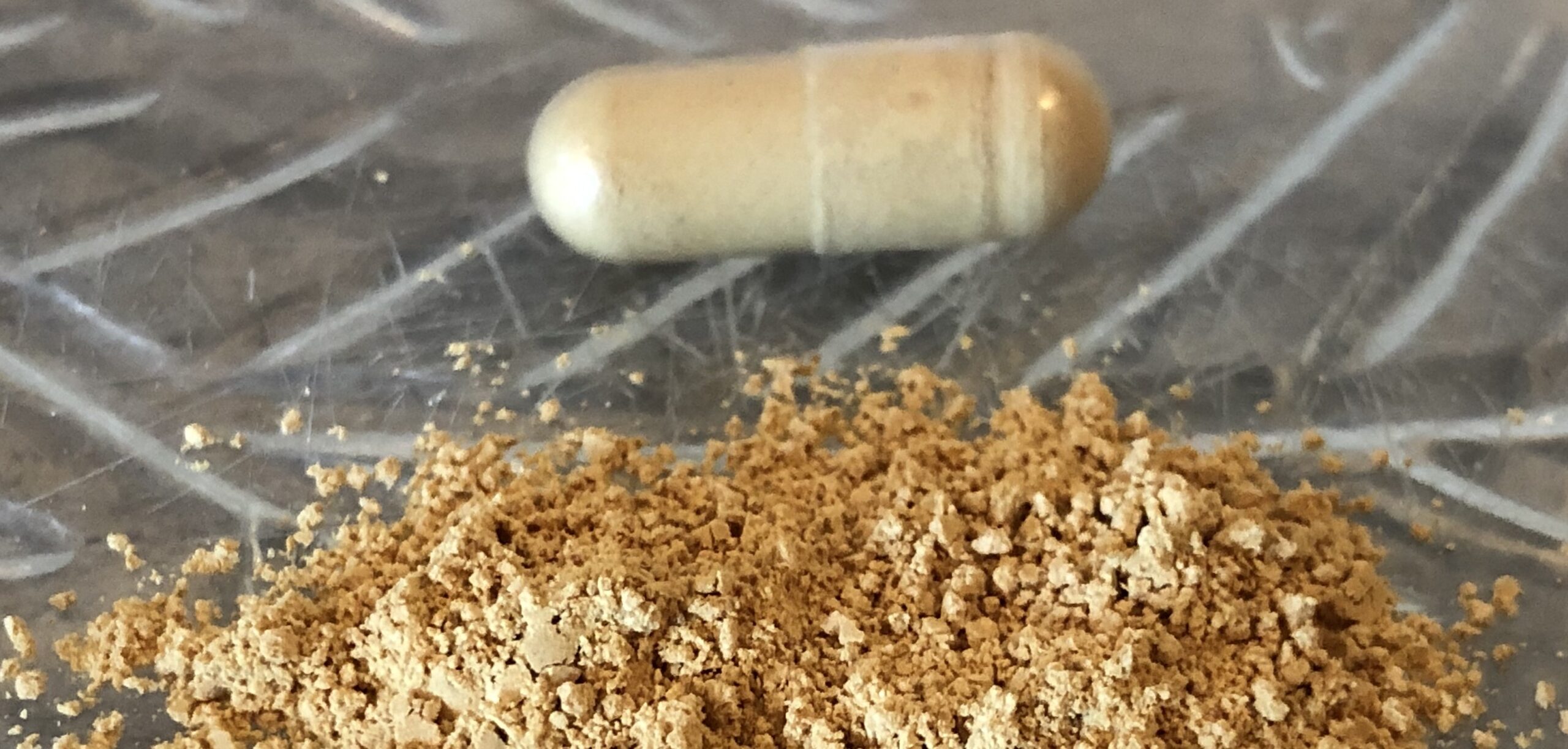 milk thistle for dogs