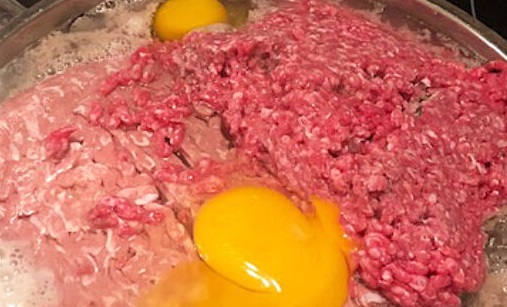 homemade dog food