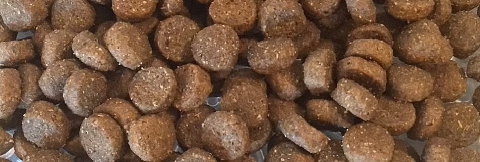 whats in prescription pet food