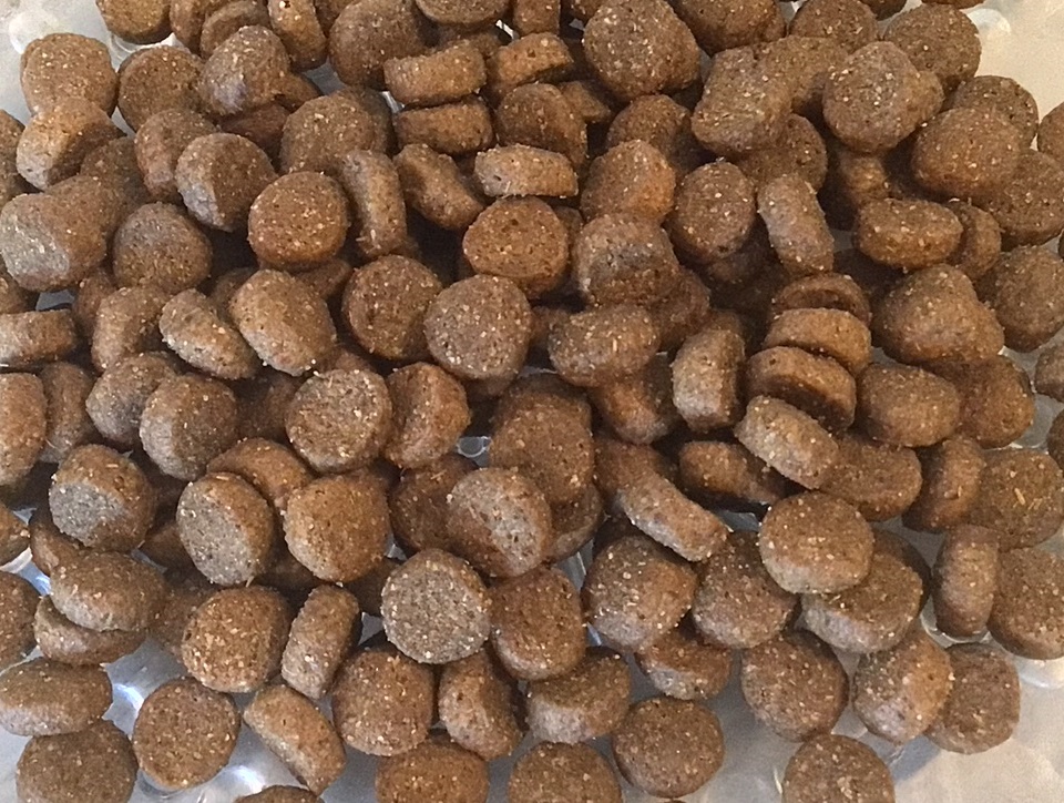 whats in prescription pet food