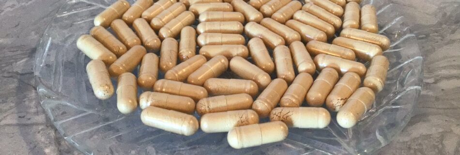 supplements for dogs
