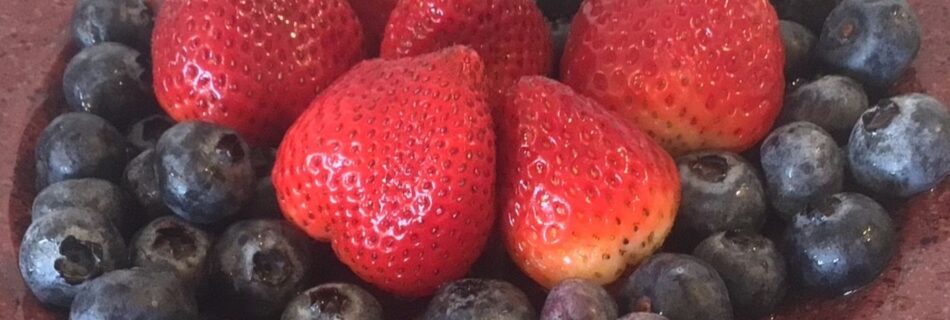berries for dogs