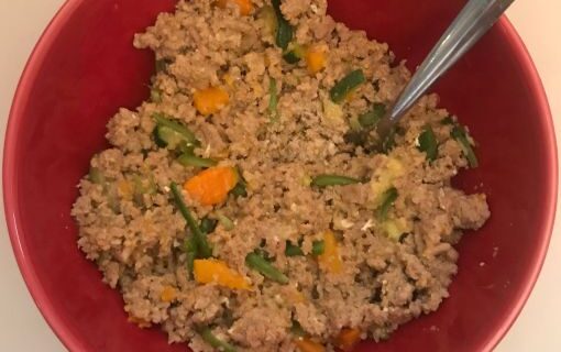 homemade dog food